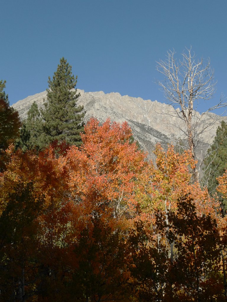 California-Fall2010 656.JPG
